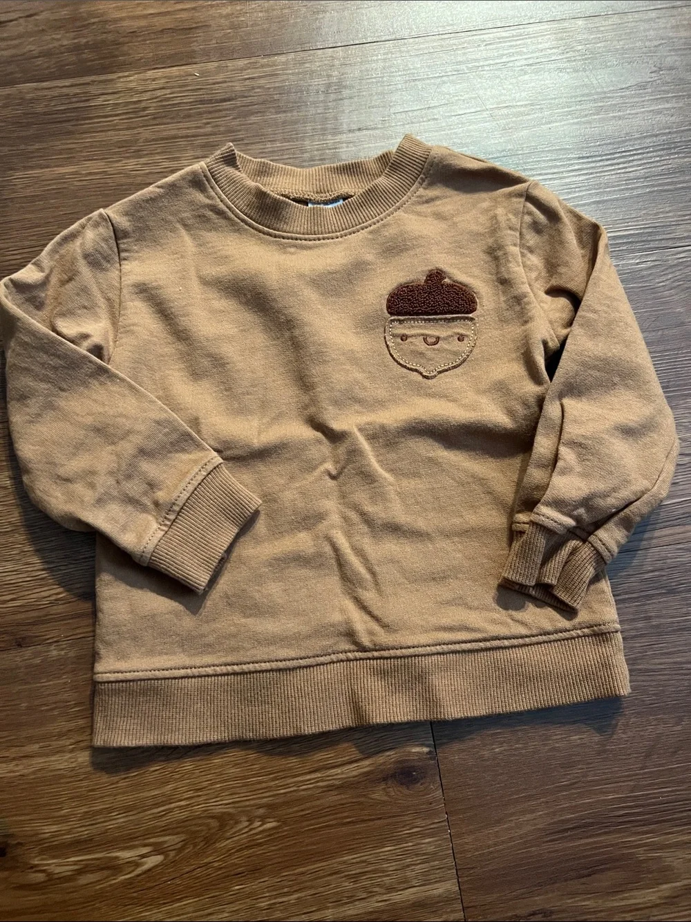 Carter's Tan Sweatshirt with Brown Acorn Applique